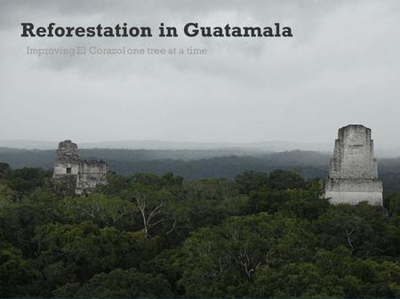 Reforestation in Guatamala Improving El Corazol one tree at a time.