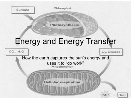 Energy and Energy Transfer How the earth captures the sun’s energy and uses it to “do work”