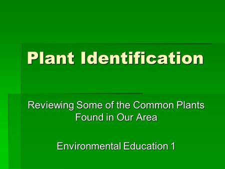 Plant Identification Reviewing Some of the Common Plants Found in Our Area Environmental Education 1.