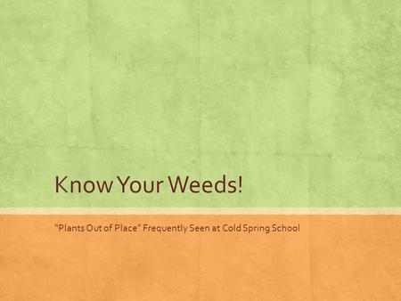 Know Your Weeds! “Plants Out of Place” Frequently Seen at Cold Spring School.