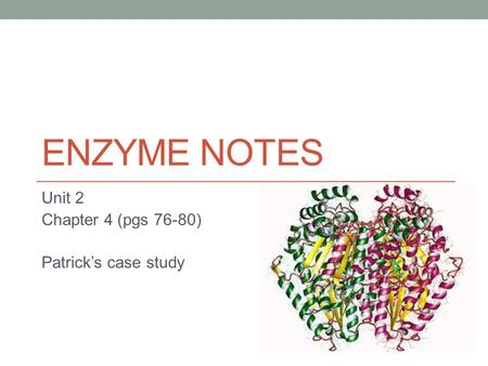 Unit 2 Chapter 4 (pgs 76-80) Patrick’s case study