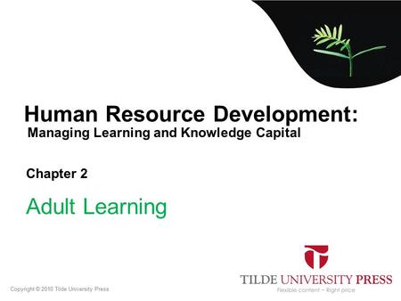 Managing Learning and Knowledge Capital Human Resource Development: Chapter 2 Adult Learning Copyright © 2010 Tilde University Press.