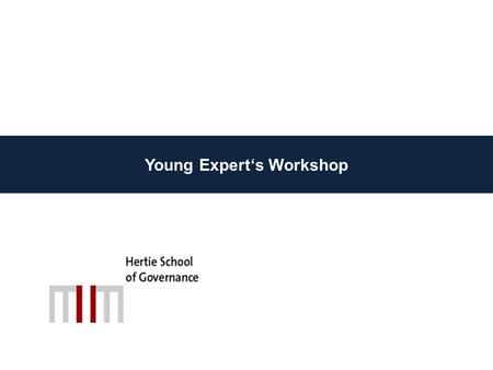 Young Expert‘s Workshop. Berlin: Hertie School of Governance.