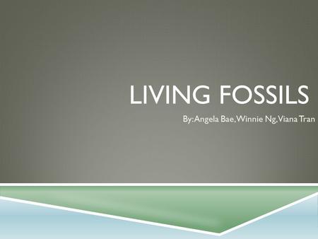 LIVING FOSSILS By: Angela Bae, Winnie Ng, Viana Tran.