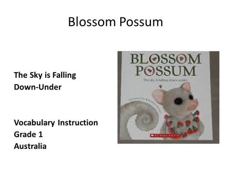 Blossom Possum The Sky is Falling Down-Under Vocabulary Instruction Grade 1 Australia.