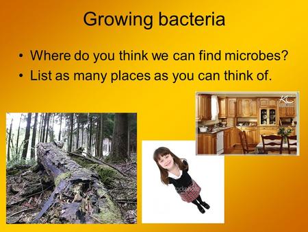 Growing bacteria Where do you think we can find microbes? List as many places as you can think of.