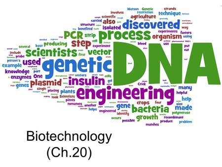 Biotechnology (Ch.20). A Brave New World TACGCACATTTACGTACGCGGATGCCGCGACT ATGATCACATAGACATGCTGTCAGCTCTAGTAG ACTAGCTGACTCGACTAGCATGATCGATCAGC TACATGCTAGCACACYCGTACATCGATCCTGAC.