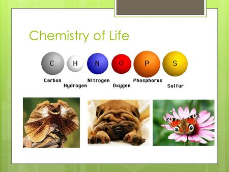 Chemistry of Life.