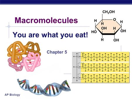 You are what you eat! Chapter 5