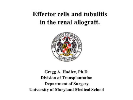 Gregg A. Hadley, Ph.D. Division of Transplantation Department of Surgery University of Maryland Medical School Effector cells and tubulitis in the renal.