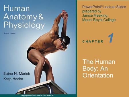 PowerPoint ® Lecture Slides prepared by Janice Meeking, Mount Royal College C H A P T E R Copyright © 2010 Pearson Education, Inc. 1 The Human Body: An.