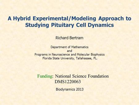 A Hybrid Experimental/Modeling Approach to Studying Pituitary Cell Dynamics Richard Bertram Department of Mathematics and Programs in Neuroscience and.