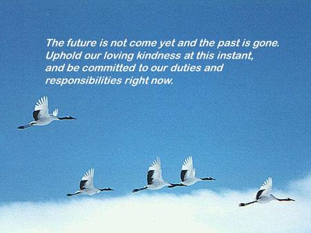 The future is not come yet and the past is gone. Uphold our loving kindness at this instant, and be committed to our duties and responsibilities right.