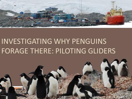 INVESTIGATING WHY PENGUINS FORAGE THERE: PILOTING GLIDERS * Lesson Plan PPT to use with students *