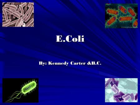 E.Coli By: Kennedy Carter &B.C..