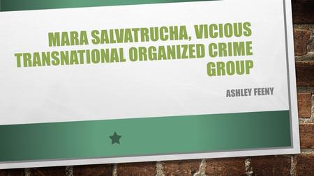 MARA SALVATRUCHA, VICIOUS TRANSNATIONAL ORGANIZED CRIME GROUP ASHLEY FEENY.