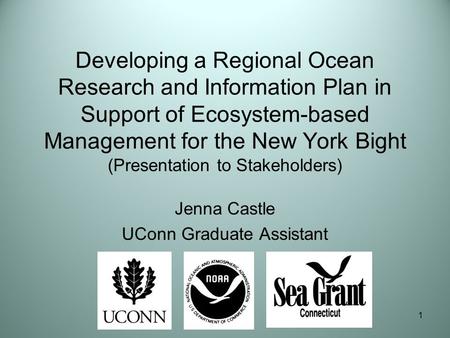 1 Developing a Regional Ocean Research and Information Plan in Support of Ecosystem-based Management for the New York Bight (Presentation to Stakeholders)