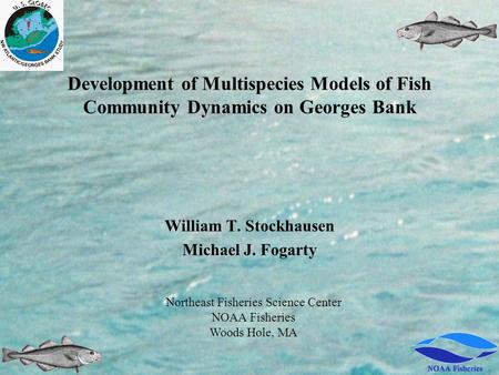 Development of Multispecies Models of Fish Community Dynamics on Georges Bank William T. Stockhausen Michael J. Fogarty Northeast Fisheries Science Center.