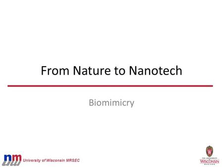 University of Wisconsin MRSEC From Nature to Nanotech Biomimicry.