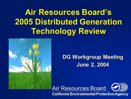 Air Resources Board’s 2005 Distributed Generation Technology Review DG Workgroup Meeting June 2, 2004 California Environmental Protection Agency Air Resources.