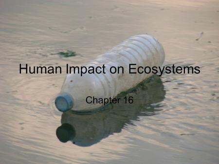 Human Impact on Ecosystems