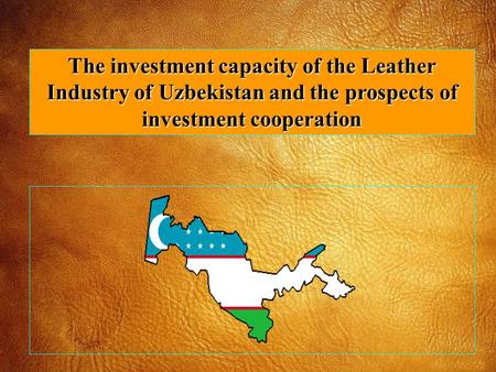 The investment capacity of the Leather Industry of Uzbekistan and the prospects of investment cooperation.