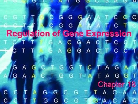 Regulation of Gene Expression