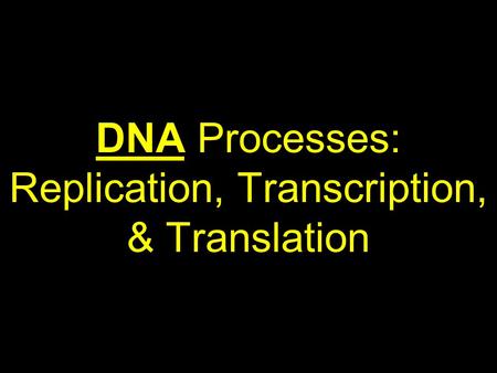 DNA Processes: Replication, Transcription, & Translation.