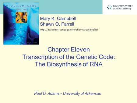 Paul D. Adams University of Arkansas Mary K. Campbell Shawn O. Farrell  Chapter Eleven Transcription of the.