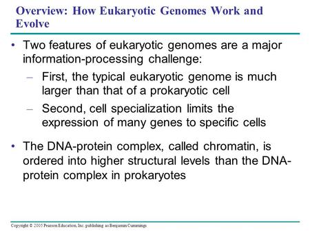 Copyright © 2005 Pearson Education, Inc. publishing as Benjamin Cummings Overview: How Eukaryotic Genomes Work and Evolve Two features of eukaryotic genomes.