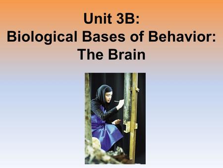 Unit 3B: Biological Bases of Behavior: The Brain.