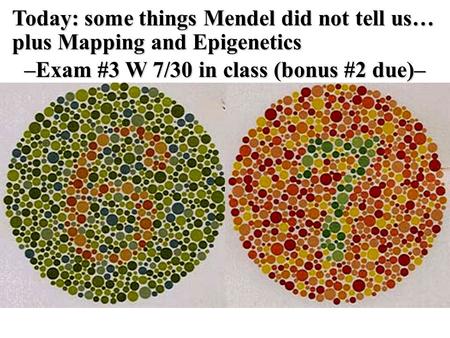 Today: some things Mendel did not tell us… plus Mapping and Epigenetics –Exam #3 W 7/30 in class (bonus #2 due)–