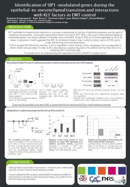 Identification of SIP1-modulated genes during the epithelial-to-mesenchymal transition and interactions with KLF factors in EMT control Benjamin Koopmansch.