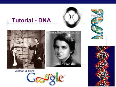 Tutorial - DNA Watson & Crick Griffith’s Experiments (Streptococcus pneumoniae) ExperimentResultsConclusion 1R-Strain bacteria S-Strain bacteria 2Heat-killed.