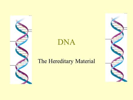 DNA The Hereditary Material. The Discovery of DNA 1869 – Friedrich Miescher investigated chemical composition of DNA using pus cells. At the time, proteins.