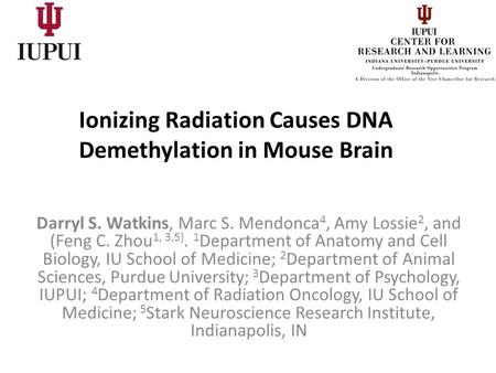 Ionizing Radiation Causes DNA Demethylation in Mouse Brain