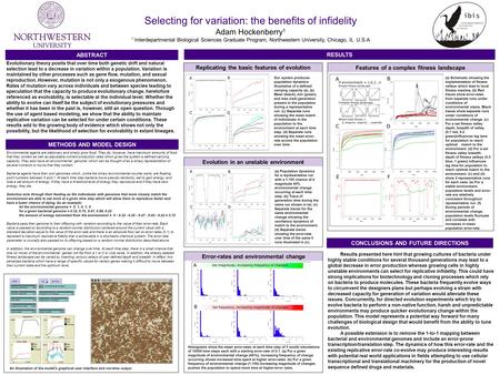 Results presented here hint that growing cultures of bacteria under highly stable conditions for several thousand generations may lead to a global decrease.