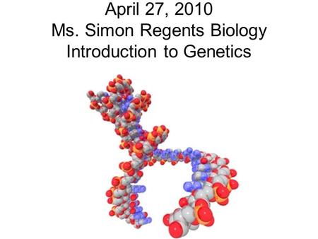 April 27, 2010 Ms. Simon Regents Biology Introduction to Genetics.