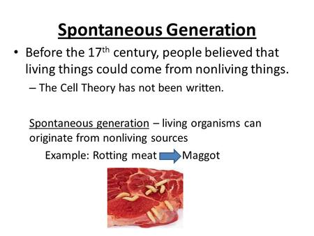 Spontaneous Generation Before the 17 th century, people believed that living things could come from nonliving things. – The Cell Theory has not been written.