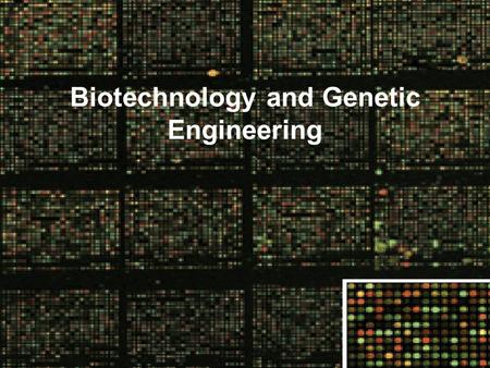 Biotechnology and Genetic Engineering. Human Cloning-The Science In The News.