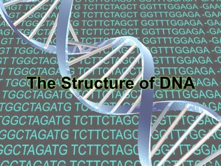 The Structure of DNA.