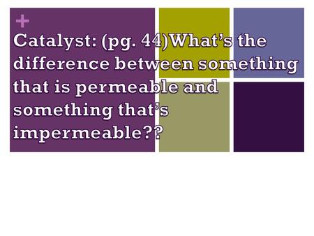 +. + Agenda Catalyst Permeability Cell membrane Objectives Explain selective permeability in reference to the cell membrane Identify the parts of the.