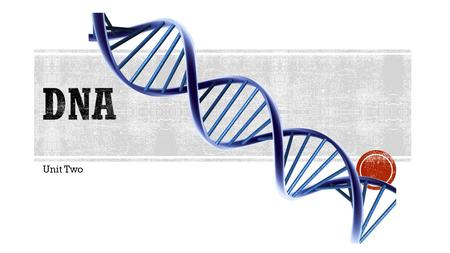 Unit Two.  Transforming principal of DNA  Bacteria are capable of passing genetic information to other bacteria.