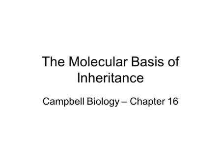 The Molecular Basis of Inheritance