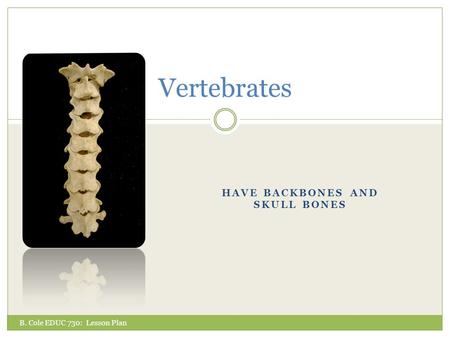 HAVE BACKBONES AND SKULL BONES Vertebrates B. Cole EDUC 730: Lesson Plan.