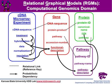 Kansas State University Department of Computing and Information Sciences Kansas State University KDD Lab (www.kddresearch.org)www.kddresearch.org cDNA.