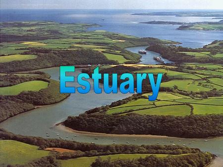 What is an Estuary? An Estuary is a partially enclosed body of water formed by freshwater mixing with saltwater Estuaries and the land surrounding them.