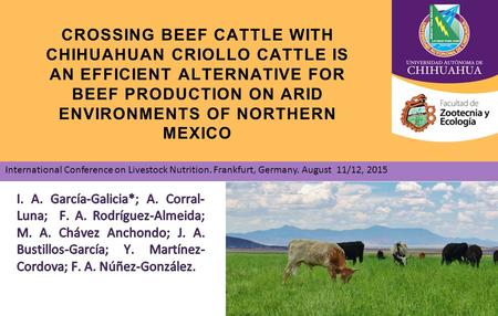 CROSSING BEEF CATTLE WITH CHIHUAHUAN CRIOLLO CATTLE IS AN EFFICIENT ALTERNATIVE FOR BEEF PRODUCTION ON ARID ENVIRONMENTS OF NORTHERN MEXICO International.