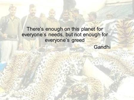 There’s enough on this planet for everyone’s needs, but not enough for everyone’s greed Gandhi.