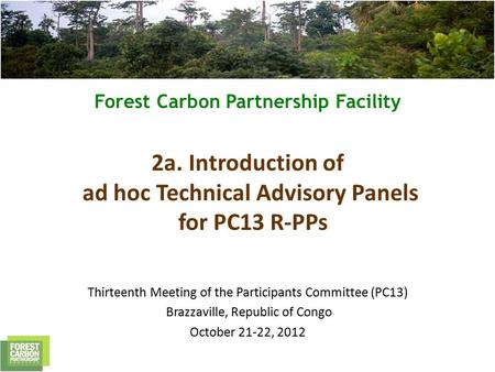 Forest Carbon Partnership Facility 2a. Introduction of ad hoc Technical Advisory Panels for PC13 R-PPs Thirteenth Meeting of the Participants Committee.